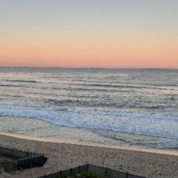 Meet your Posher, Eliza - Picture 1 of 1